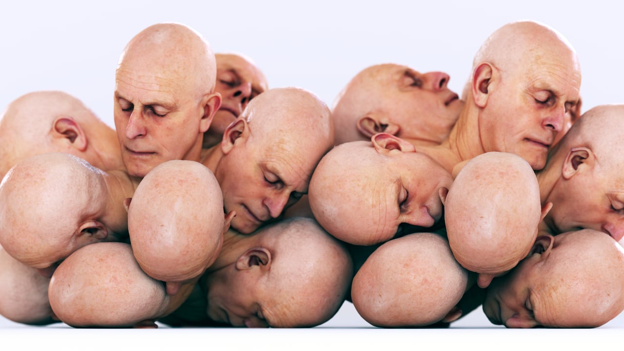 Parasitic endeavours (2017)