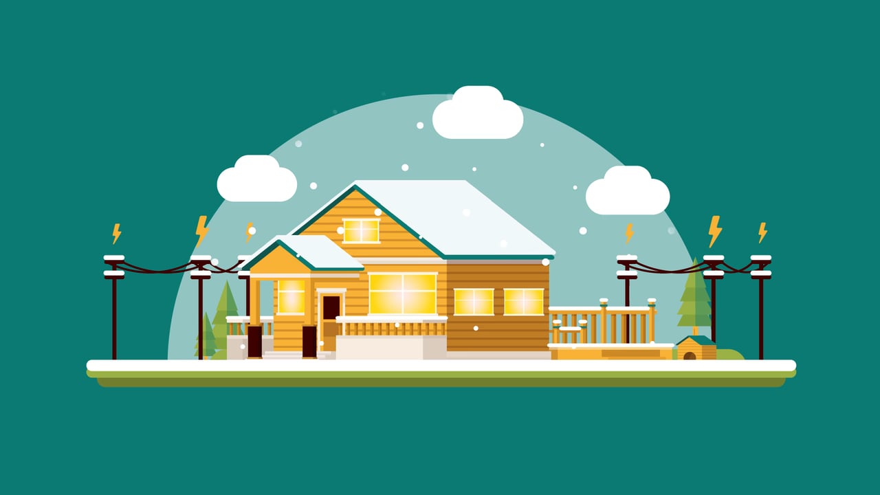 Wood Naturally - Wood Wise: Building Planet - and People-Friendly Homes