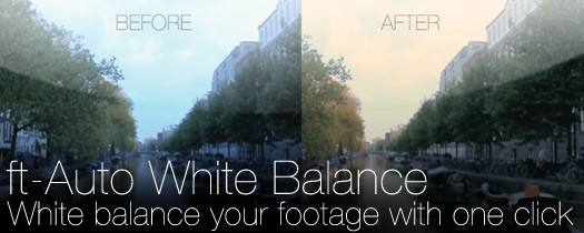 ft-Auto White Balance