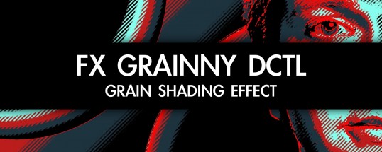 FX Grainny DCTL