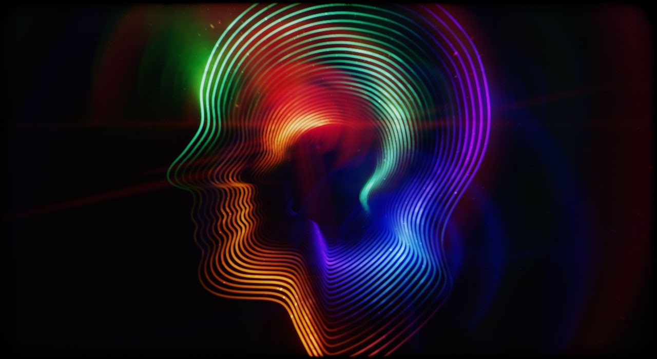 brain