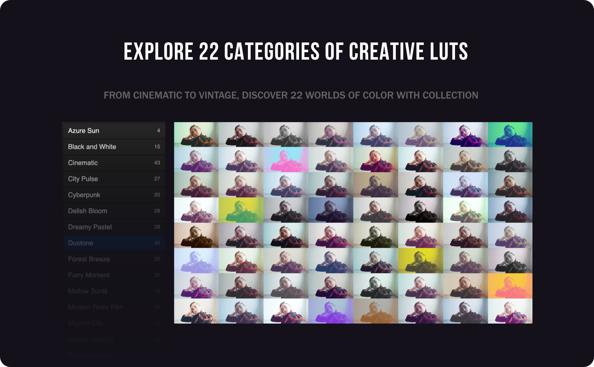explore 22 categories of creative luts