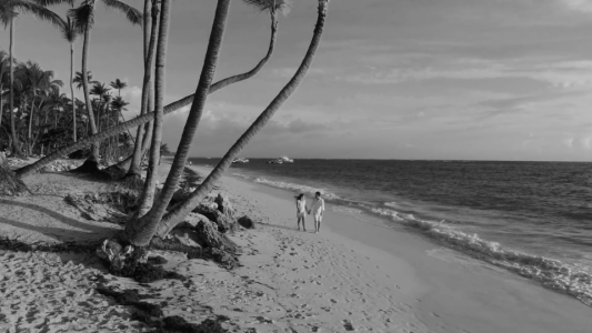 beach bw