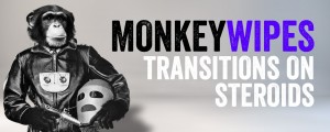 MonkeyWipes