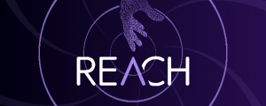 Reach AEssential Kit