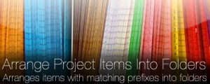 Arrange Project Items Into Folders