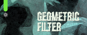 Satori Geometric Filter
