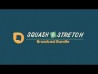 Squash & Stretch Broadcast Bundle for After Effects