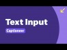 Text Input