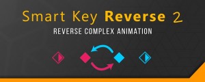 Smart Key Reverse 2