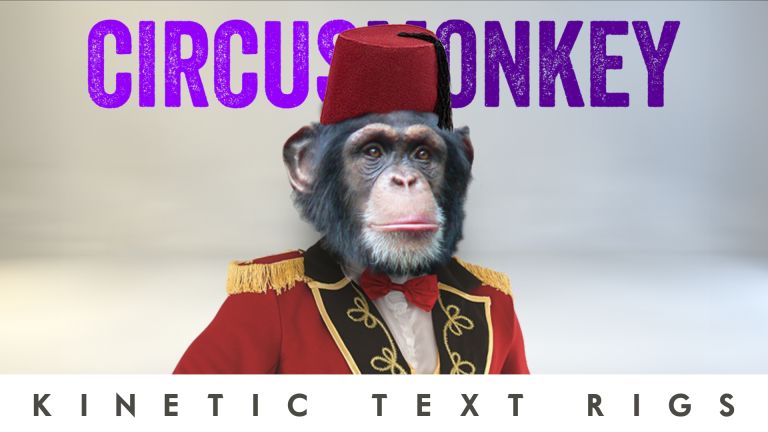 CircusMonkey