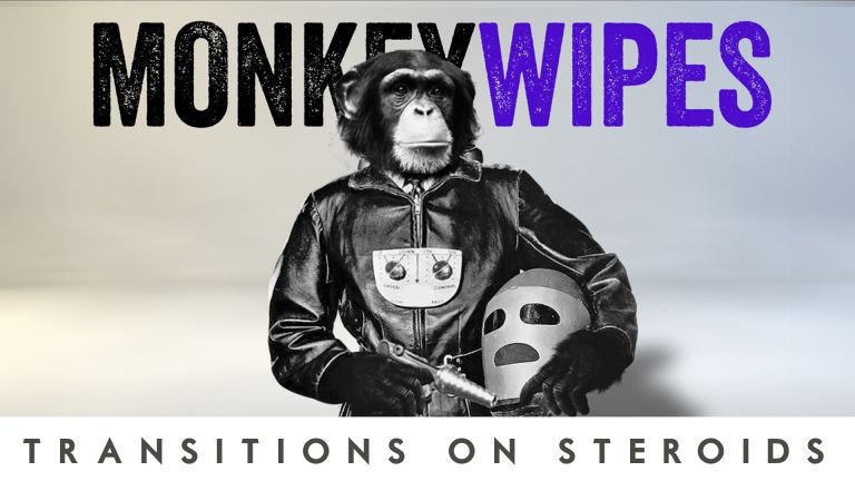 MonkeyWipes