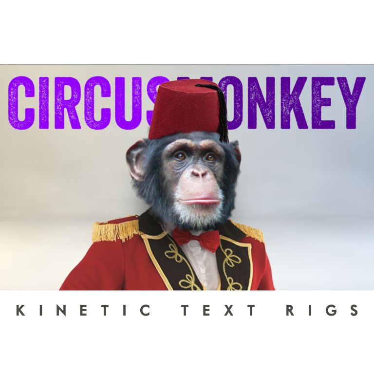 CircusMonkey
