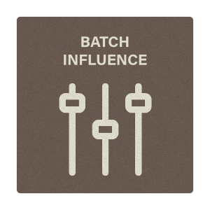 Batch Influence