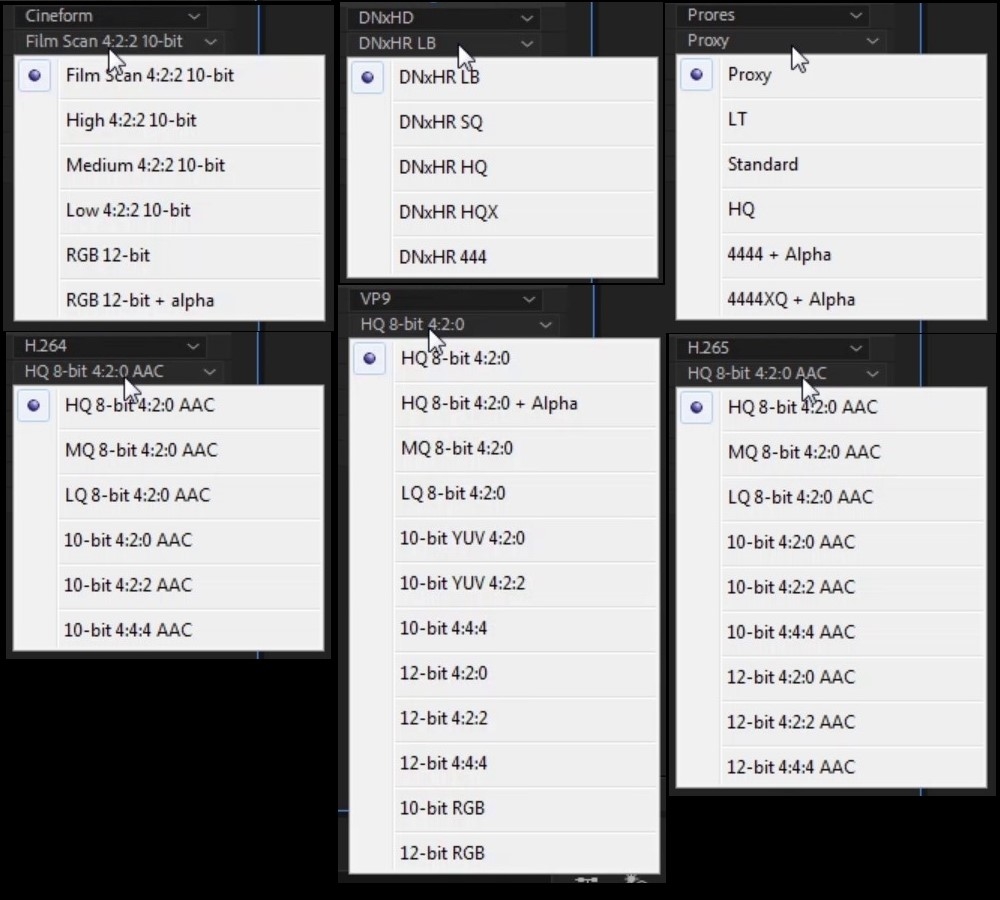 Codec Presets in Layer Render