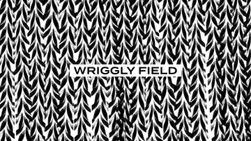 WRIGGLY FIELD
