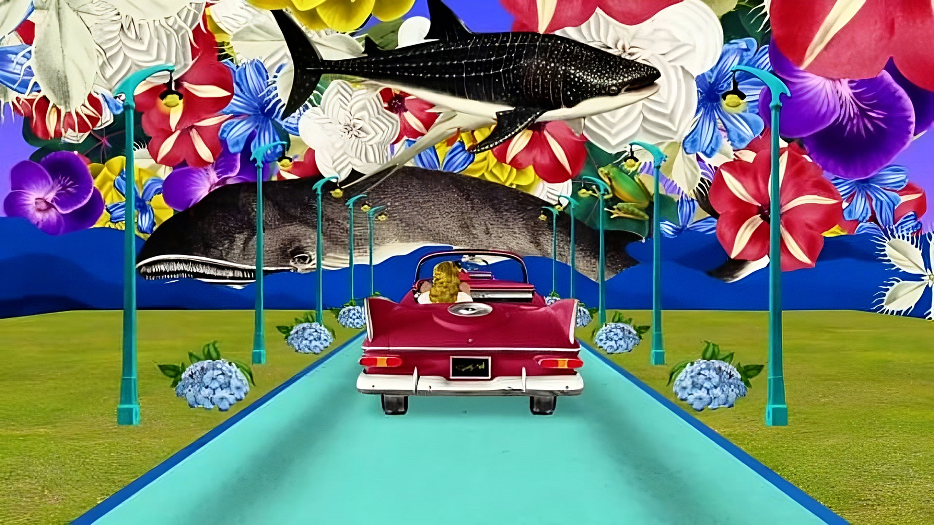 Luis Mejia Reel 2023