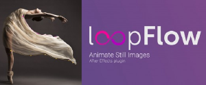loopFlow