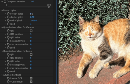 Photoshop GIF How-to: Make a Before/After GIF - Lara Lee